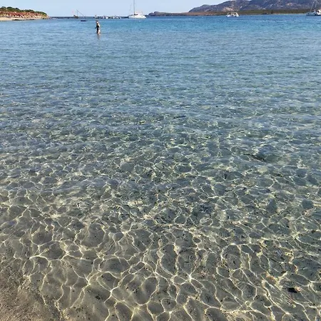 Paradise *